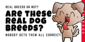 Real Dog Breeds or Not Quiz-TRIVIA